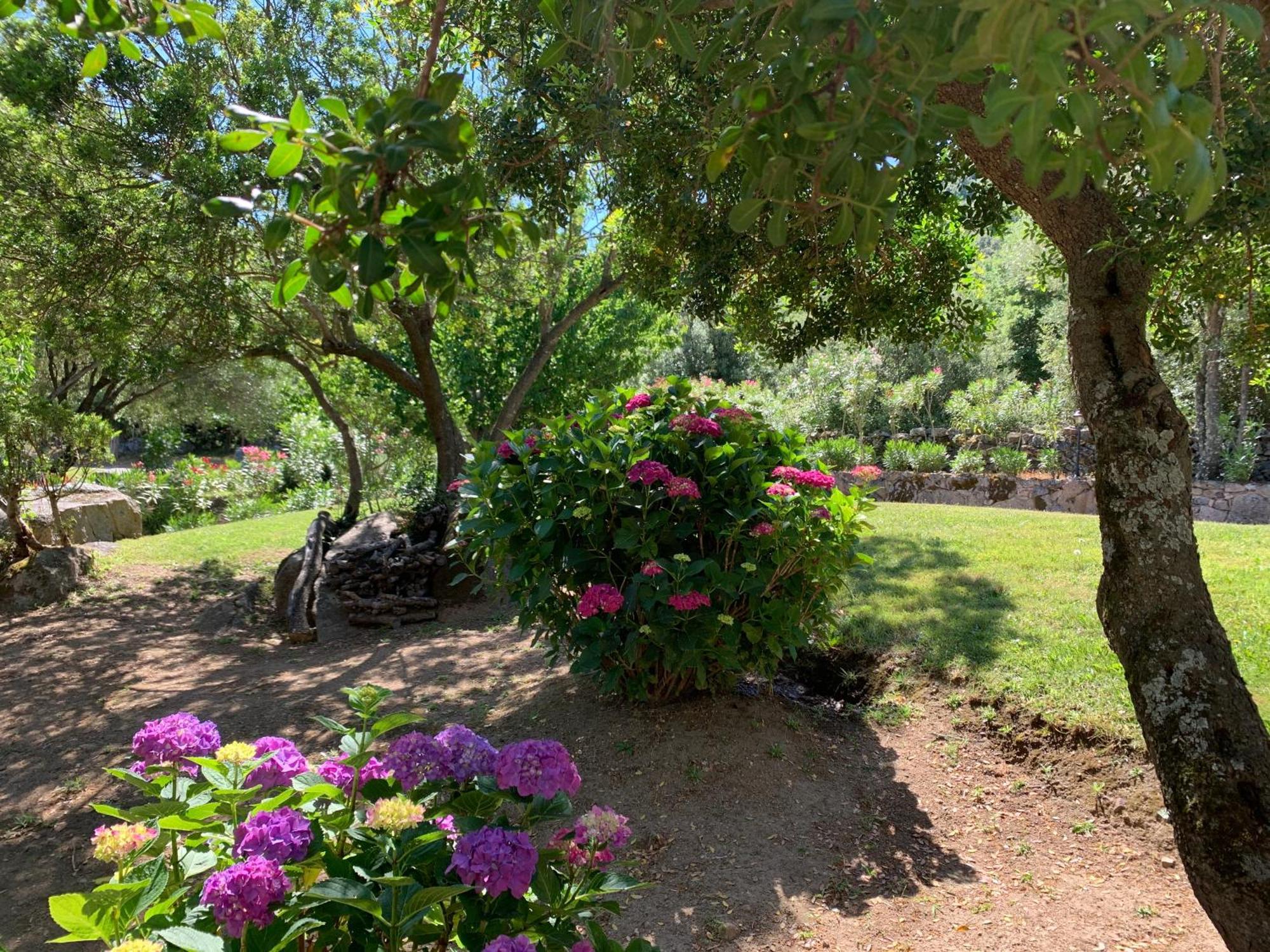 Hotel Valkarana Country Relais (Adults Only) Сант'Антонио-ди-Галлура Экстерьер фото